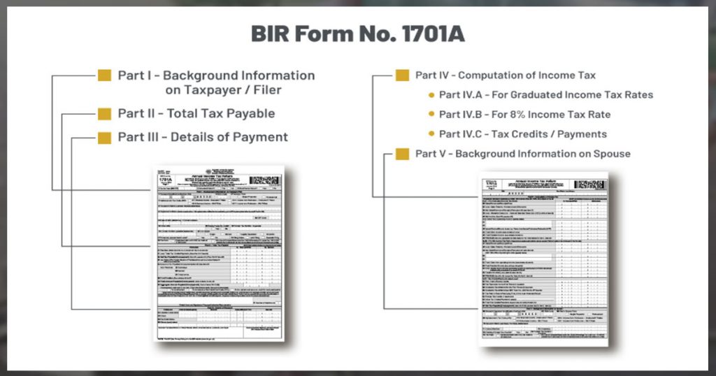 Guide-for-Professionals-and-Self-employed-in-Filling-out-the-BIR-Form-1701A-0