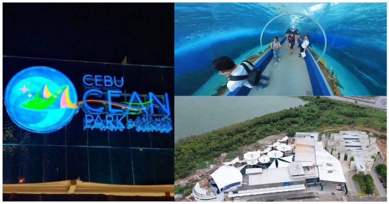Largest Ocean Park in the Philippines Opens in Cebu