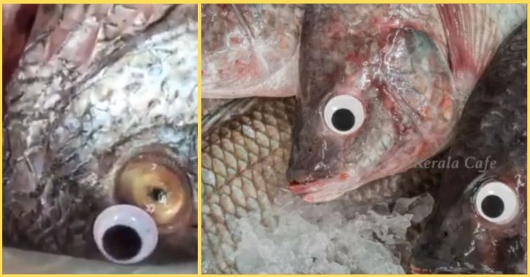 Consumer gets Surprised with New Modus in Making Fish Look Fresh