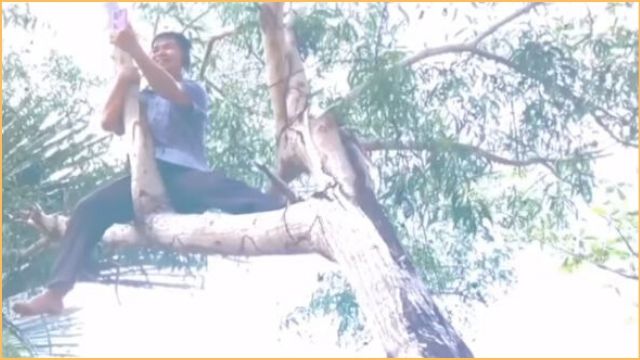 Teacher Trending After Climbing Up to Tree Just to Find Signal for His Online Class