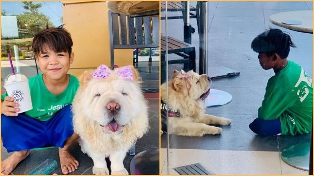 Street Kids and Dog Playing Outside the Coffee Shop Went Viral, Brings Goodvibes to Everyone